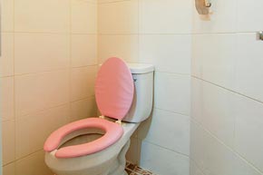 �ü�����